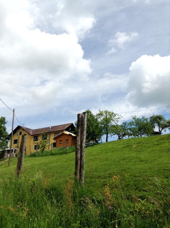 Gasthof-Pension Silvia Haibach ob der Donau Dış mekan fotoğraf